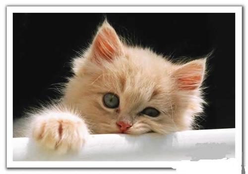 bakhtiyar _hoo110@yahoo.com&nbsp;b